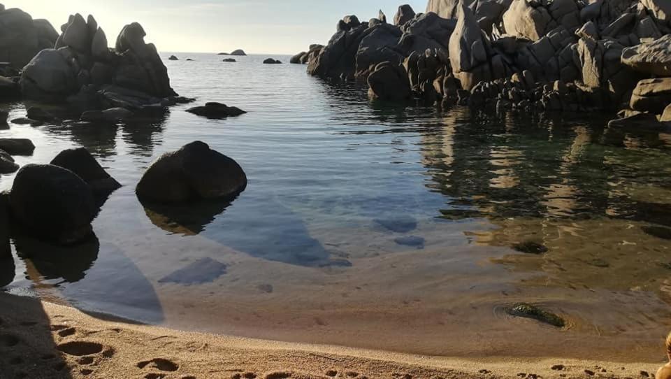 Da Patrizia Ξενοδοχείο Santa Teresa Gallura Εξωτερικό φωτογραφία