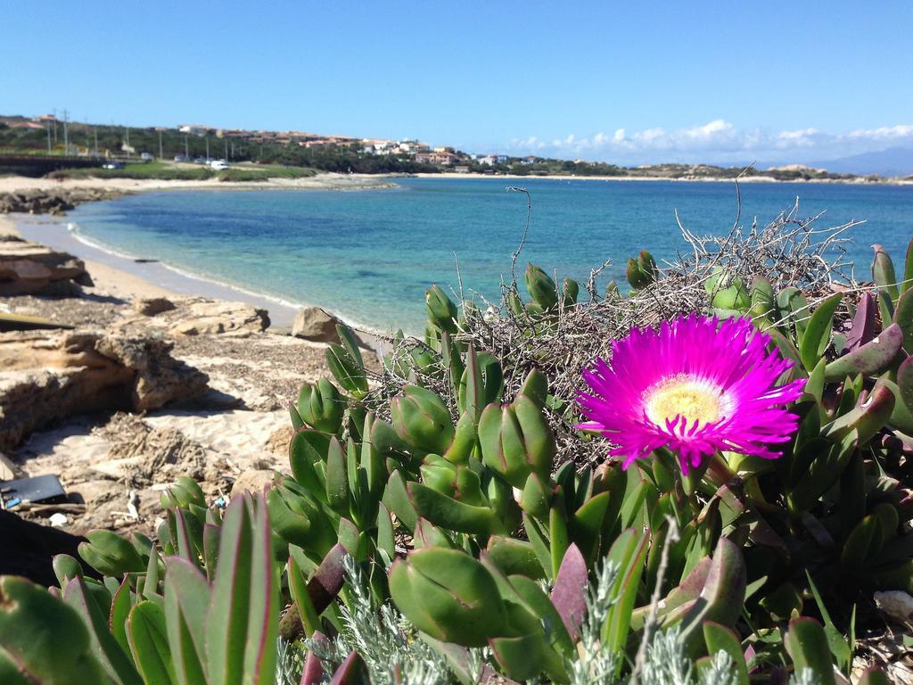 Da Patrizia Ξενοδοχείο Santa Teresa Gallura Εξωτερικό φωτογραφία