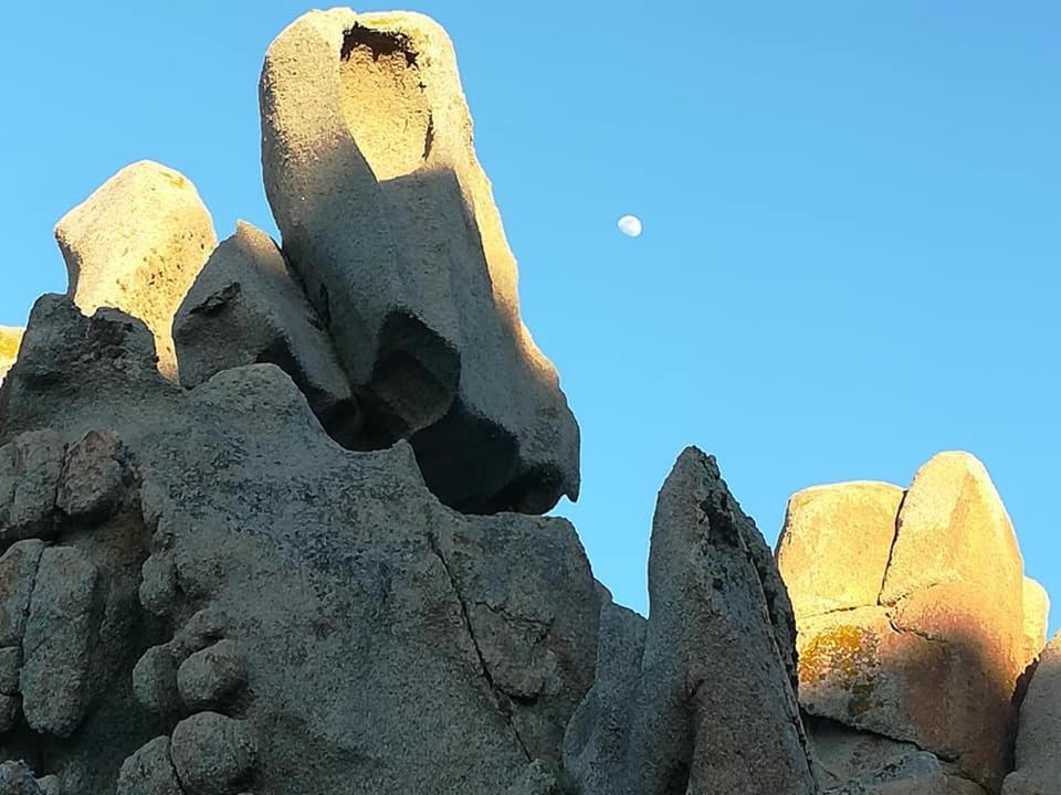 Da Patrizia Ξενοδοχείο Santa Teresa Gallura Εξωτερικό φωτογραφία