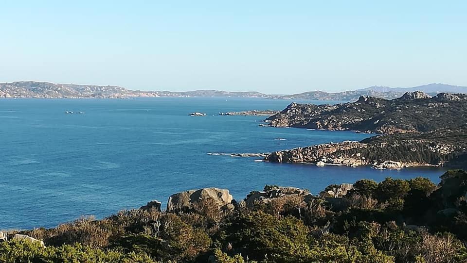Da Patrizia Ξενοδοχείο Santa Teresa Gallura Εξωτερικό φωτογραφία